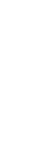 本気になった先に楽しさがある